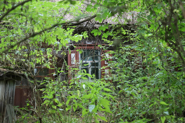 Abandoned Building in Chernobyl Exclusion Zone, Ukraine - Photo, Image