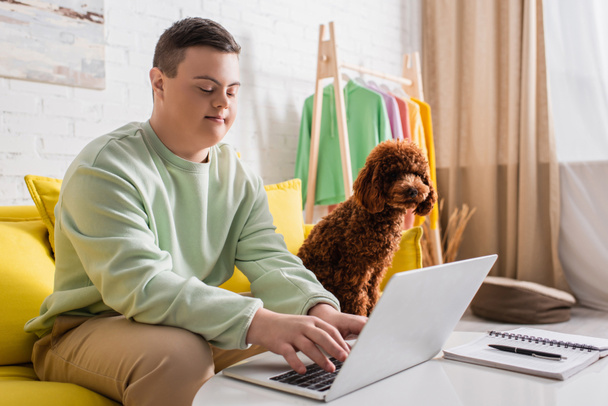 Poodle sitting on couch near teenager with down syndrome using laptop at home  - Photo, image