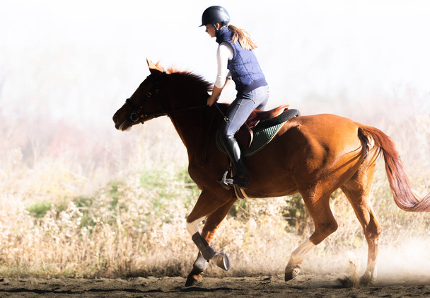 jong mooi meisje rijden een paard - Foto, afbeelding