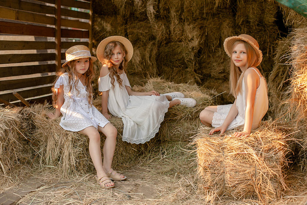 Küçük kızlar yaz günü samanlıkta birlikte vakit geçirirler. - Fotoğraf, Görsel