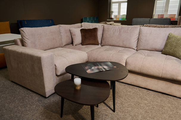 Современный стильный удобный мягкий диван с подушками и журнальный столик с каталогом мебели высокого качества, выставленный на продажу в выставочном зале мебельного магазина - Фото, изображение