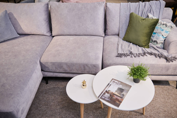 Высокий угол обзора стильного удобного дивана, обшитый светлой велюровой тканью с красочными подушками и небольшим журнальным столиком на витрине мебельного магазина - Фото, изображение
