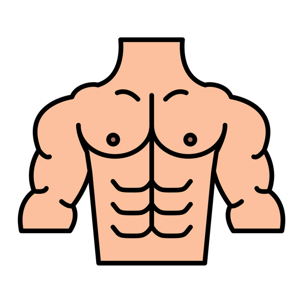 human body icon. outline illustration of muscle anatomy vector icons for web - Vector, Image