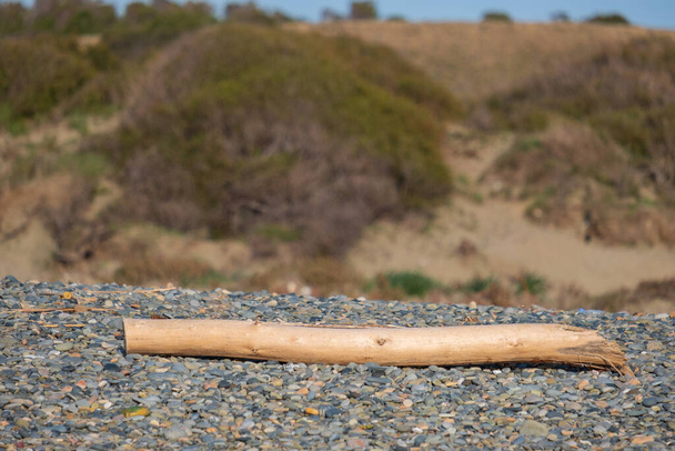 Um pedaço de tronco de árvore cortada repousa sobre os seixos de uma praia contra um fundo turvo de vegetação arbustiva em dunas de areia em Ayia Eirini, em Chipre. - Foto, Imagem