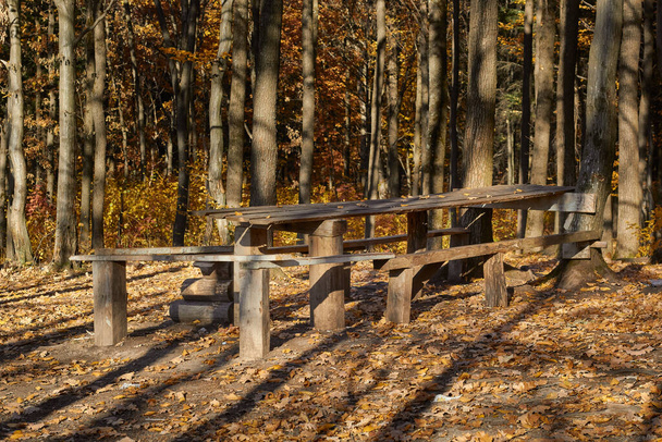 Σπιτικό ξύλινο παγκάκι και τραπέζι στη μέση του δάσους.  - Φωτογραφία, εικόνα