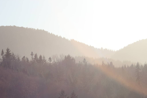 Dağlar ve sabah güneşli çam ağaçları. Dağların üzerinde parlayan güneş ışığı.. - Fotoğraf, Görsel