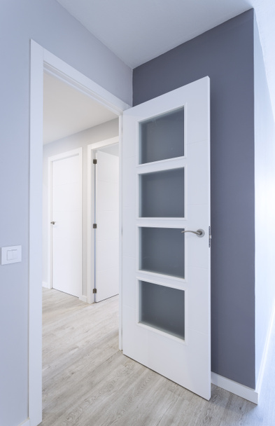 white door design with glass and white frame - Foto, Imagem