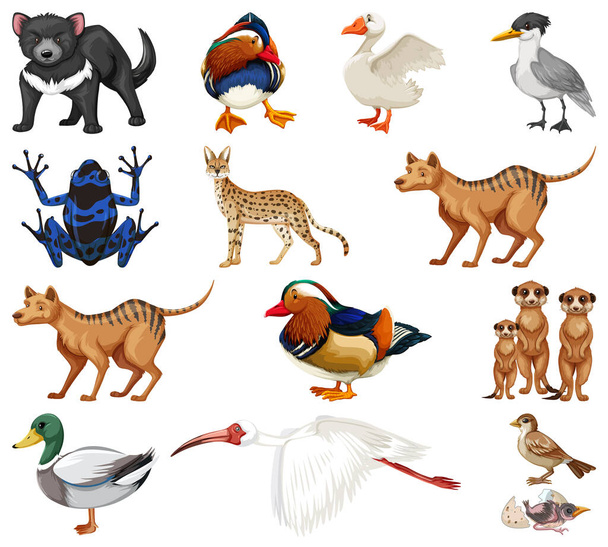 Verschiedene Arten von Tieren Sammlung Illustration - Vektor, Bild
