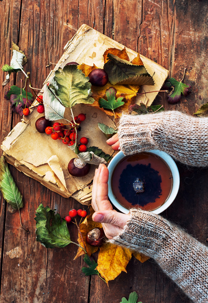 Mano femenina con una taza de té caliente de otoño
 - Foto, imagen