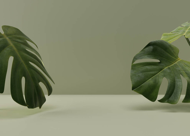 Пустая сцена с листьями монстров на зеленом фоне. Шаблон для продукта, косметическая презентация. Естественный макет. Свободное место для копирования. 3D рендеринг. - Фото, изображение