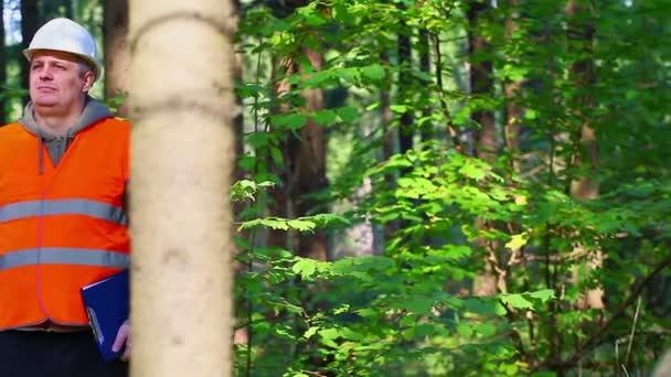 Leñador con carpeta en bosque
 - Metraje, vídeo