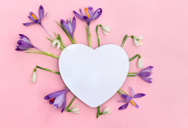 White snowdrops and crocuses violet flowers with white paper card note in the shape heart with space for text on a pink background. Top view, flat lay. Spring flowers - Photo, Image