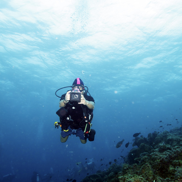 Koralen en Scuba duiker met foto - Foto, afbeelding
