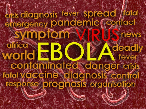 Ebola koncepció szó felhő háttér - Fotó, kép