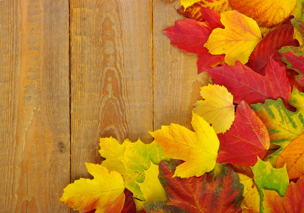 Осенний фон
  - Фото, изображение