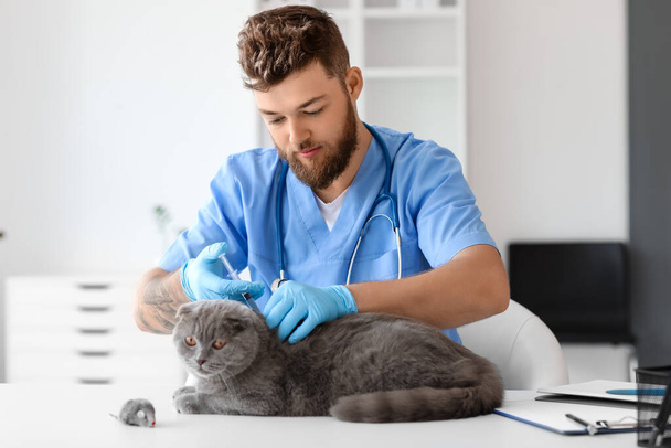 Veterinarian vaccinating Scottish fold cat in clinic - Фото, зображення