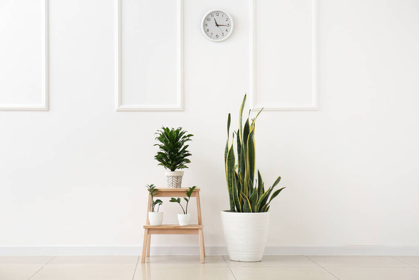 Ξύλινο σκαμπό σκαλοπατιού με φυτά κοντά σε ανοιχτό τοίχο - Φωτογραφία, εικόνα