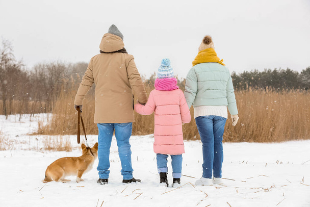 Happy little girl and her grandparents walking with Corgi dog on snowy winter day - Photo, image