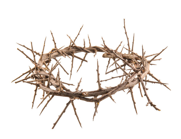 Crown of thorns isolated on white - Photo, Image