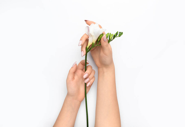 Woman with stylish manicure holding beautiful flower on white background, closeup - Fotoğraf, Görsel
