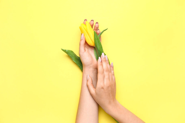 Woman with beautiful manicure holding tulip on yellow background, closeup - Photo, image