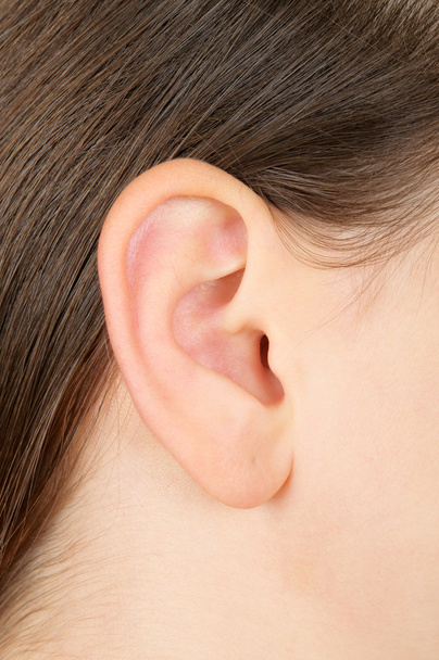  Gros plan d'une oreille de fille
 - Photo, image