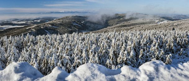 Χειμερινό τοπίο στα βουνά, χιονισμένες βουνοκορφές και δάσος, θέα από τον πύργο παρατήρησης. - Φωτογραφία, εικόνα