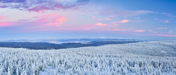 Зимовий пейзаж у горах на заході сонця, засніжені гірські вершини та ліс, вид з оглядової вежі
. - Фото, зображення