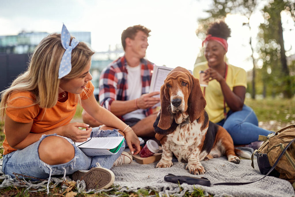 A cute dog enjoys a company of young girl and her friends on a beautiful day in the park. Friendship, rest, pets, picnic - Фото, изображение