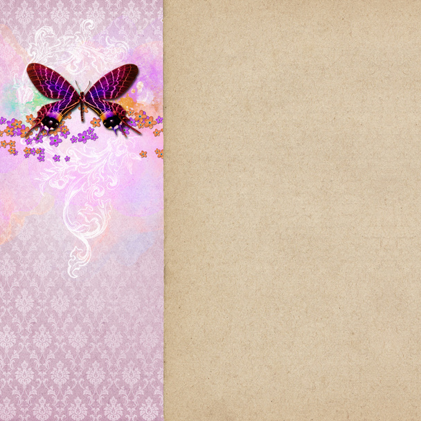 Vintage shabby chic background with butterfly - Photo, image