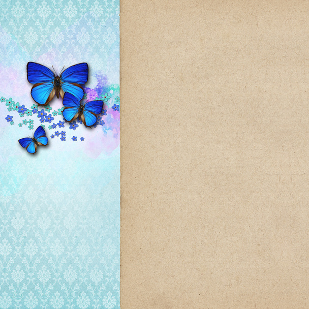 Vintage shabby chic background with butterfly - Photo, Image