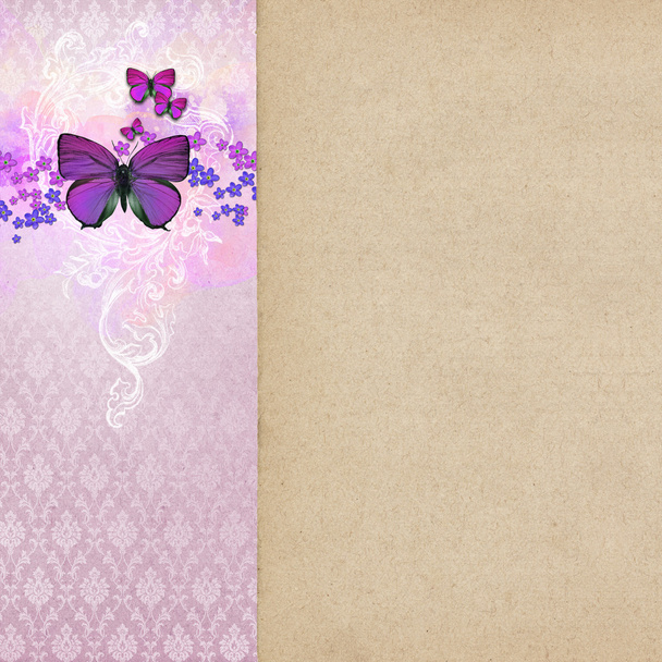 Vintage shabby chic background with butterfly - Foto, immagini
