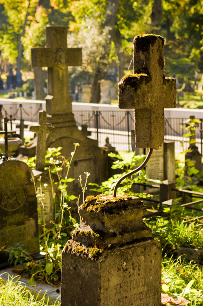 Cementerio de Rasu
 - Foto, Imagen