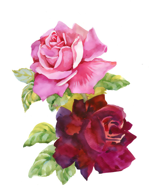 Watercolor red roses - Φωτογραφία, εικόνα