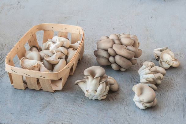Canasta de champiñones de ostra sobre mesa gris en la cocina  - Foto, Imagen