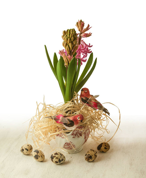 Kvetoucí růžové hyacinty v bílém vinném hrnci s ptačími samolepkami a vejci. Velikonoční koncept  - Fotografie, Obrázek