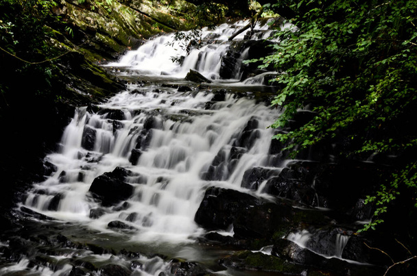 Vue latérale de deux cascades, eau laiteuse coulant de la montagne entourée d'arbres, feuilles vertes sur pierre foncée - Photo, image