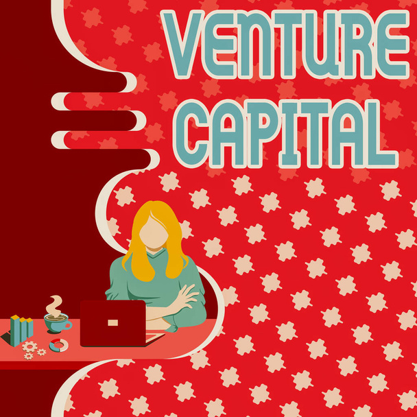 Ručně psané znamení Venture Capital. Word Written on Venture Capital Woman Seitting Using Laptop Online Session Discusing Latest Projects. - Fotografie, Obrázek