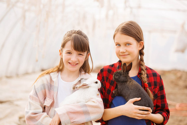 Две девочки держат в руках кроликов. Пасхальная концепция - Фото, изображение
