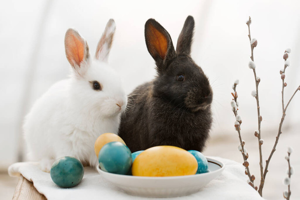 White and black Easter bunnies near painted eggs in yellow and blue tones of the Ukrainian flag - Fotoğraf, Görsel