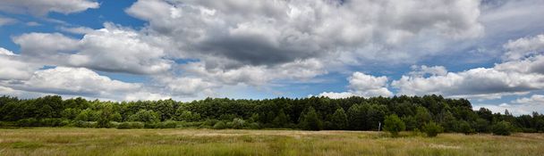 Panoramic photo of dense forest against the sky and meadows. Beautiful landscape of a row of trees and blue sky background - Fotó, kép