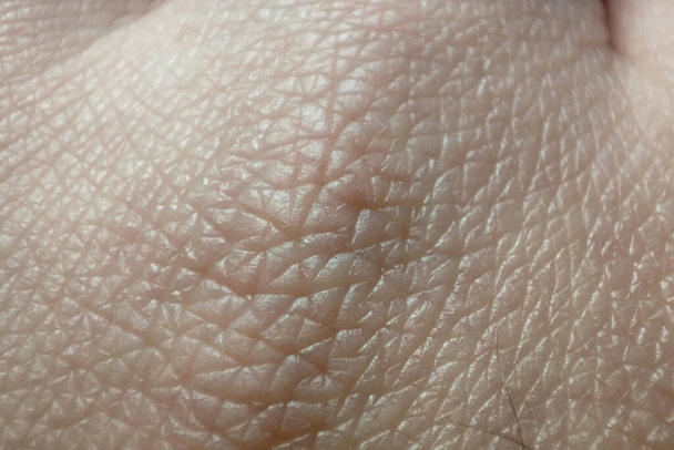 Main de peau macro humaine. Texture de peau caucasienne rapprochée. Médecine et dermatologie. Peau saine rugueuse et détaillée - Photo, image