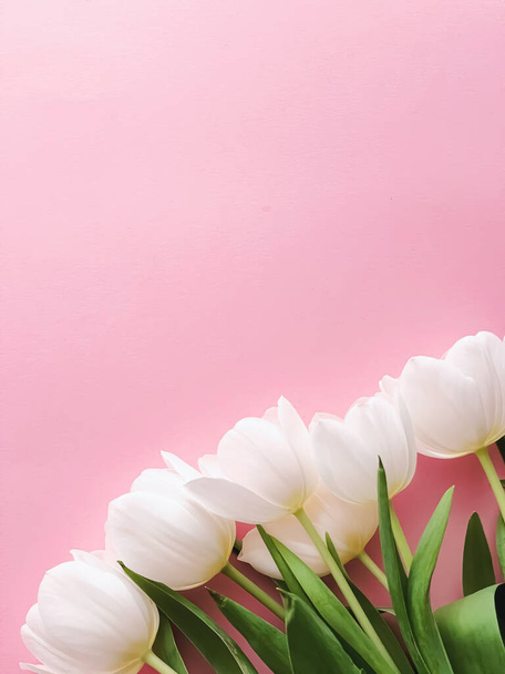 White tulips on pink backdrop, beautiful flowers as flatlay background, spring concept - Photo, Image