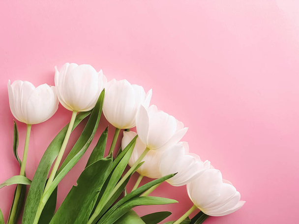Tulipanes blancos sobre fondo rosa, hermosas flores como fondo plano, concepto de primavera - Foto, Imagen