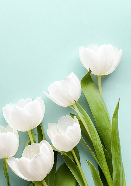 White tulips on mint backdrop, beautiful flowers as flatlay background, nature concept - Photo, Image