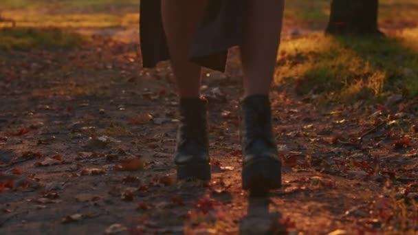 サンタ・ムエルテの化粧をした若い女性は、日没時に森の紅葉を背景に黒い死のドレスを着て歩く。死者やハロウィーンのコンセプトの日. - 映像、動画