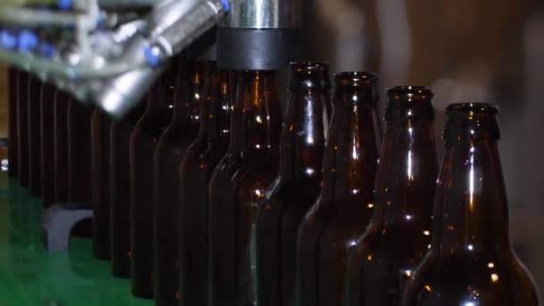 Bir kır evinde bira fabrikası. Kahverengi bira şişeleri taze birayla doludur. - Video, Çekim