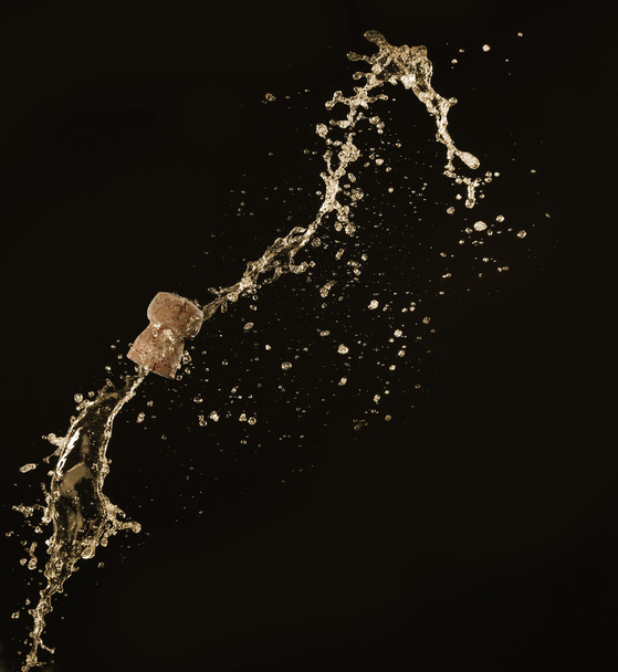 Champagne splashes with cork on black background - Foto, afbeelding