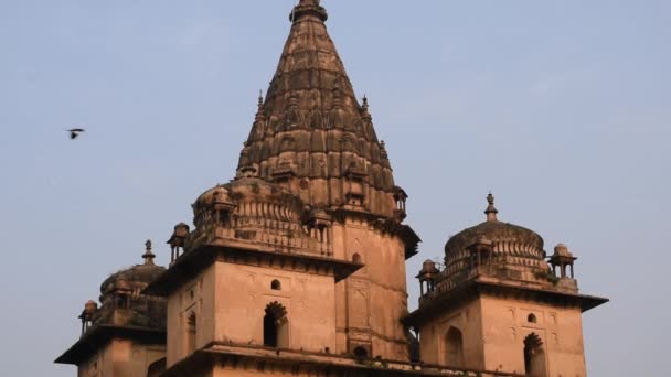 Vista matutina de los Cenotafios Reales (Chhatris) de Orchha, Madhya Pradesh, India, Orchha la ciudad perdida de la India, sitios arqueológicos indios - Metraje, vídeo