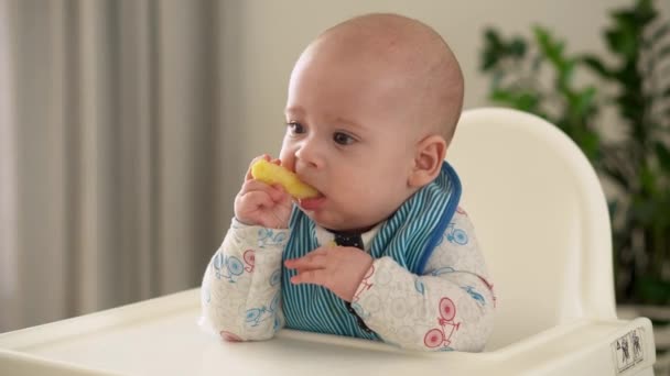 mom Mother feed young baby in white feeding up high chair, first supplement vegetable puree Happy smiling kid eat for the frst time, child with dirty face, little infant boy eating porridge nutrition - Footage, Video